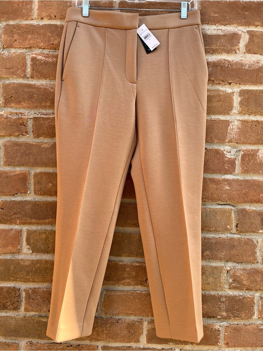 Ann Taylor Eva Pant NWT